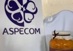 ASPECOM | Asociación Pensamiento y Corazón de las Mujeres de San Cristóbal Totonicapán