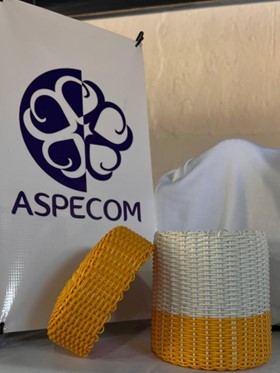 ASPECOM | Asociación Pensamiento y Corazón de las Mujeres de San Cristóbal Totonicapán