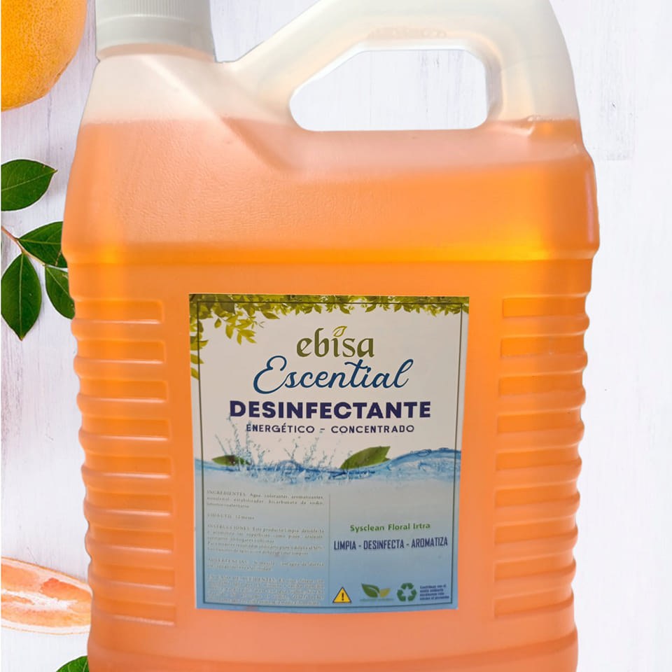 Ebisa Soluciones Ecológicas